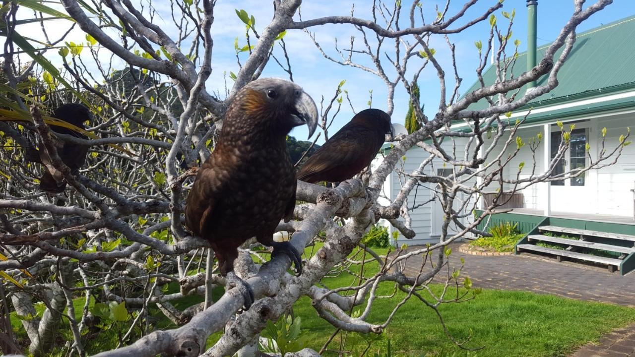 Вилла Glenfern Sanctuary Okiwi Экстерьер фото